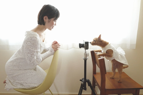 ブライダル(エンゲージメントフォト)写真 撮影場所 鎌倉(海) ドッグフォトグラファー