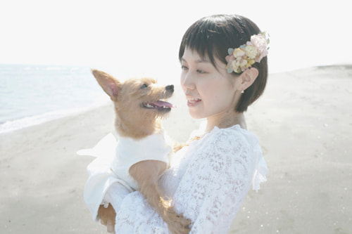ブライダル(エンゲージメントフォト)写真 撮影場所 鎌倉(海) 新婦、犬
