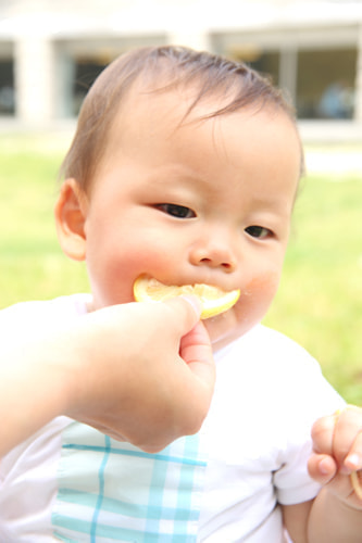 葛西臨海公園 バースデーフォト 夏