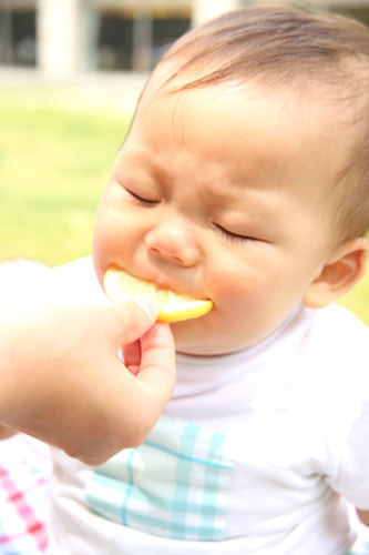 葛西臨海公園 バースデーフォト 夏