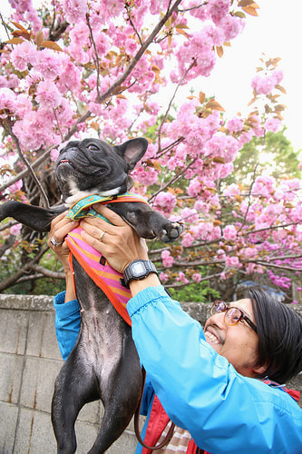 １歳バースデー