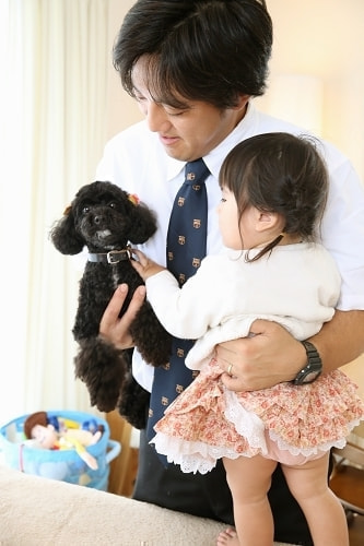 お宮参り写真 撮影場所 自宅(麻生区) トイプードル