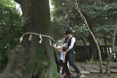 お宮参り写真 撮影場所 川越氷川神社１２