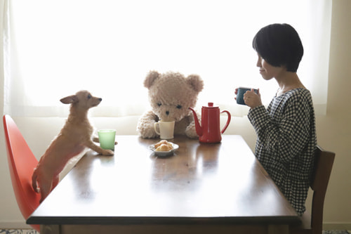 クマのぬいぐるみ２