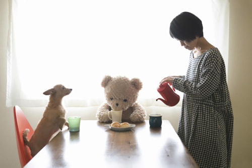 クマのぬいぐるみ５