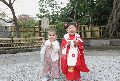 七五三写真 撮影場所 師岡熊野神社１７