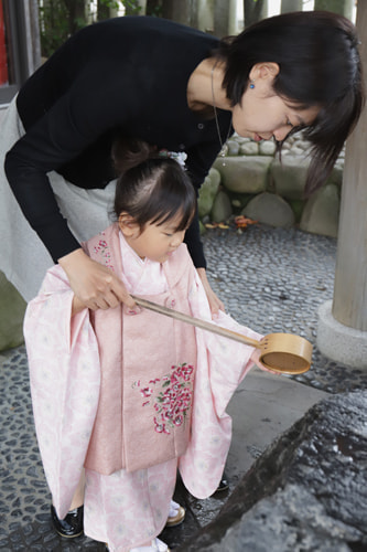 七五三写真 撮影場所 伊勢山皇大神宮２