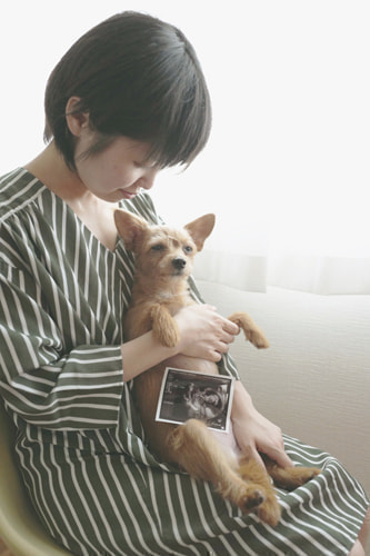 マタニティフォト