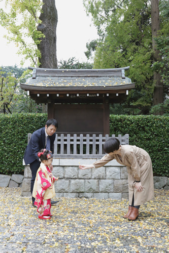 七五三写真 撮影場所 根津神社