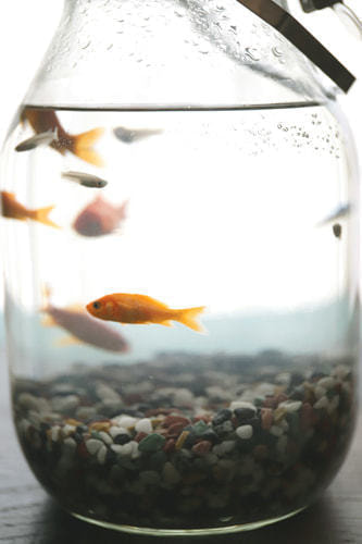 ホームページ、店舗、商品、プロフィール写真