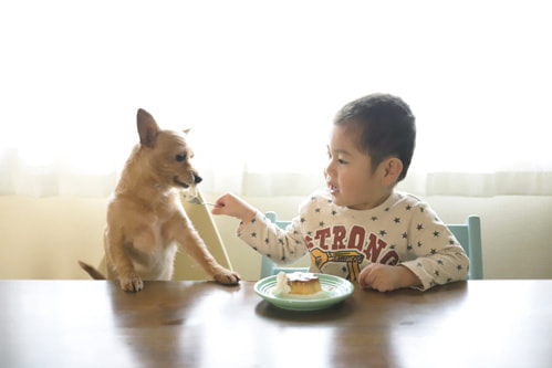 柳宗理のカトラリー