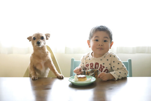 柳宗理のカトラリー