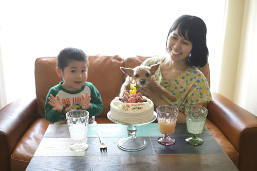 5歳バースデーフォト