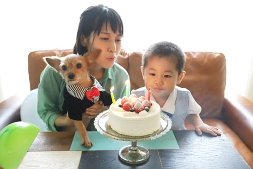 家族写真、子供、赤ちゃん、バースデー、マタニティフォト