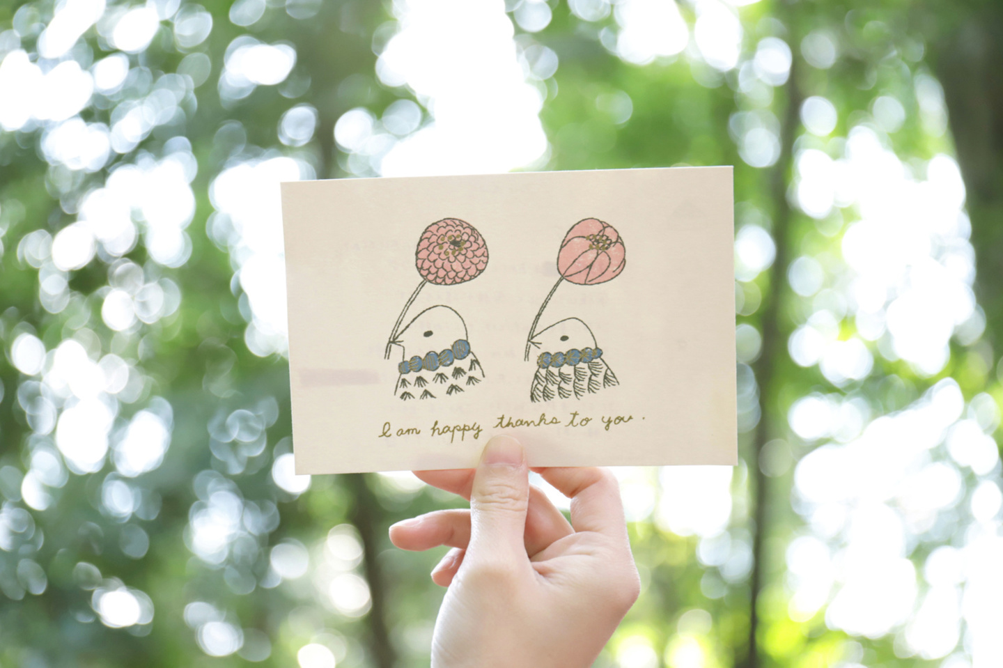 お宮参り、七五三、家族写真、明治神宮、寒川神社