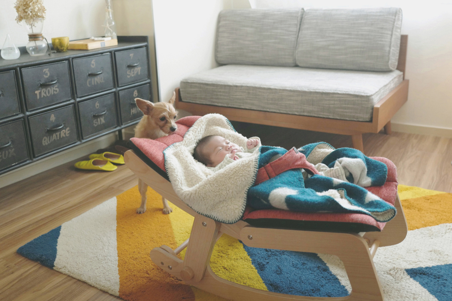 お宮参り、七五三、家族写真、明治神宮、寒川神社