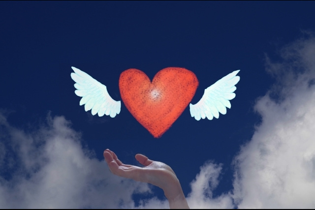 寒川神社 撮影許可